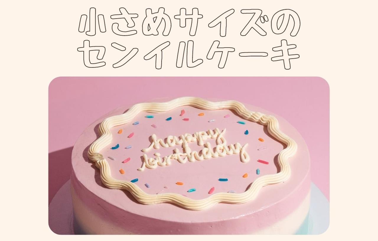 センイルケーキの小さめの通販のブログ画像
