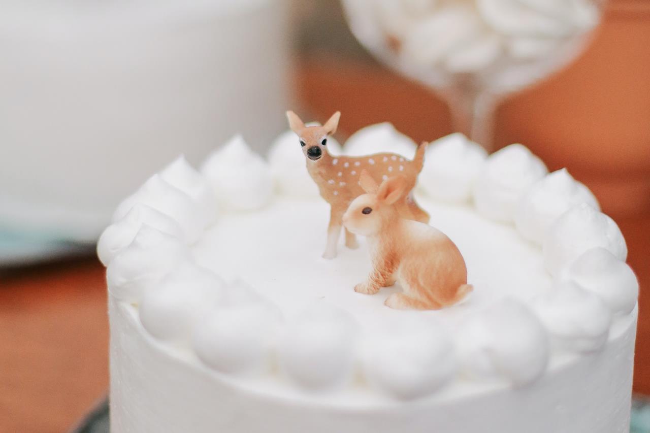 動物ケーキのブログ画像