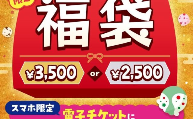 【2024年12月10日～】サーティワンアイスクリームの福袋の予約・販売の販売開始